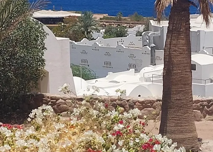 Daire Appartament In Domina Coral Bay